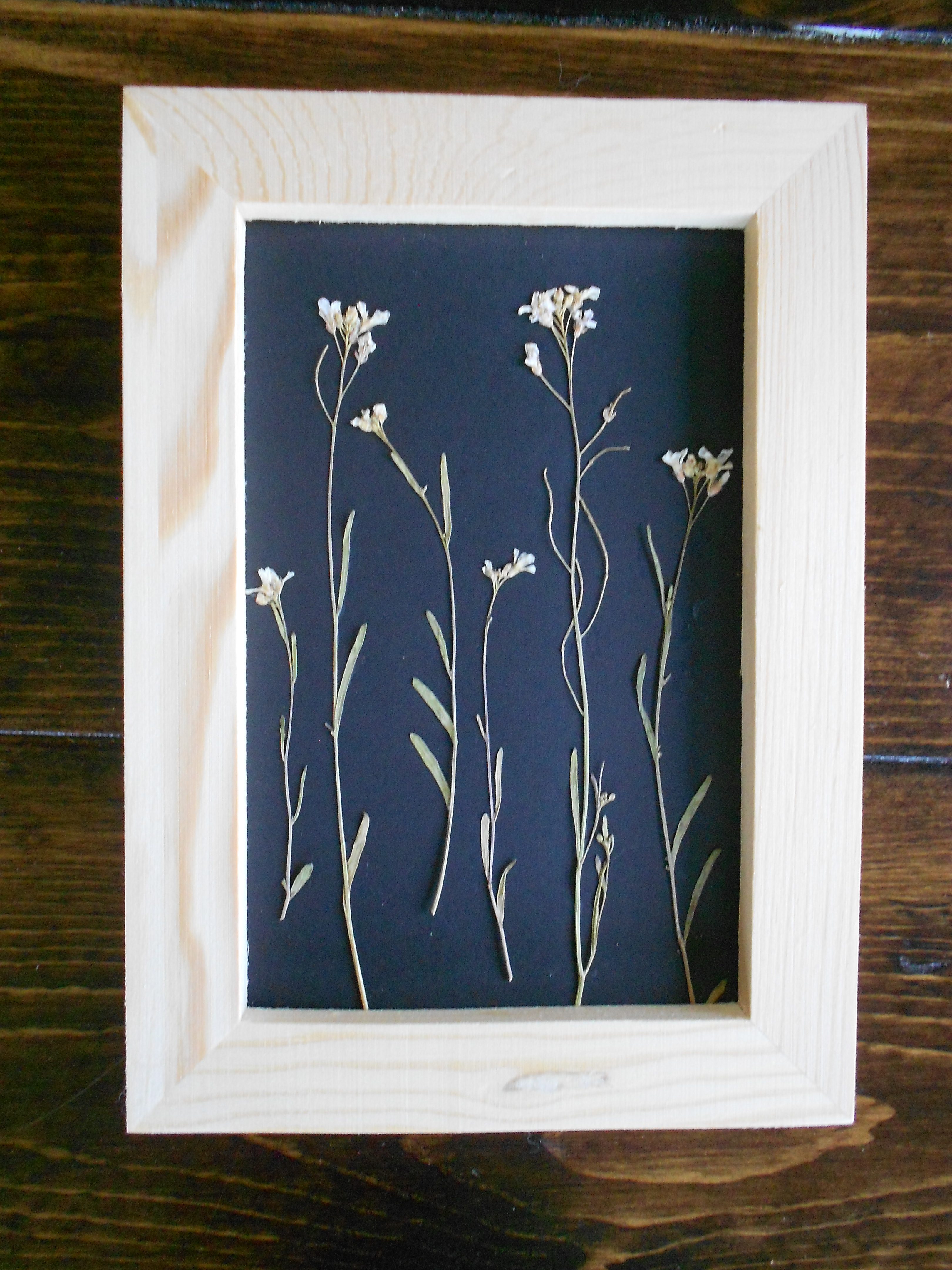 Pressed Flower Framed Art Picture Wood Frame Pressed Flowers and Ferns